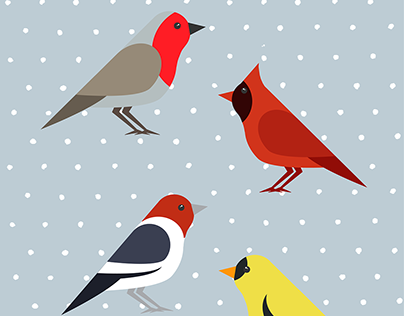 Digitally illustrated birds | Aves ilustradas
