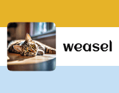 Weasel. Логотип, фирменный стиль