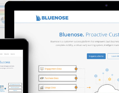 Bluenose - Redesign
