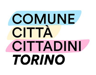 Comune Città Cittadini Torino
