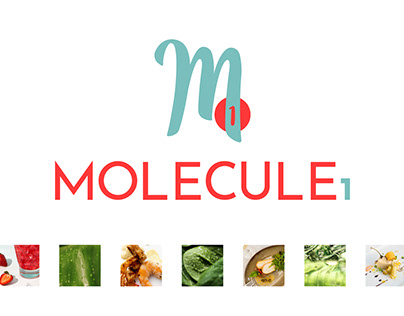 Logo MOL1