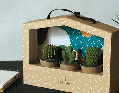 ACAPULCO / Packaging terrarium cactus