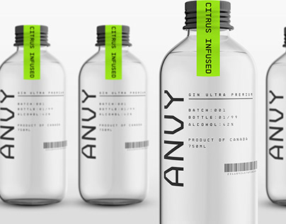 Project thumbnail - Anvy Gin. Packaging Design