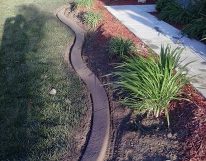 Amazing Landscape Borders in San Diego | Crazy Curbs