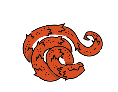 The snake dragon