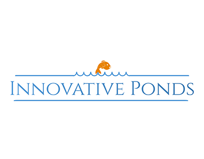 Innovative Ponds Flyer Design