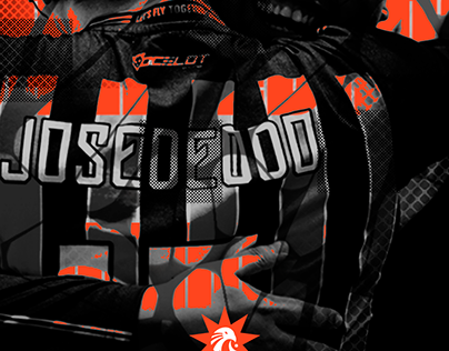 ESTRAL ESPORTS GRAPHIC PROYECT (not official)