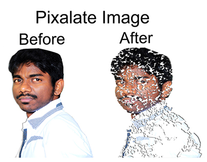 Pixalate Image