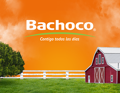 Bachoco "The Orange Spot"