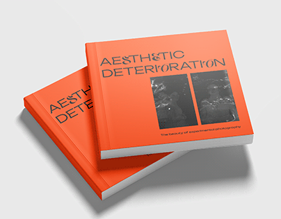 aesthetic deterioration / art magazine