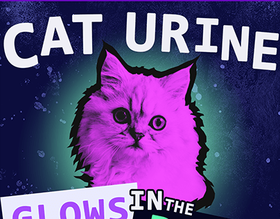 Cat Urine Glows in the Dark