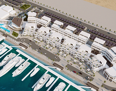 Marina Revitalization