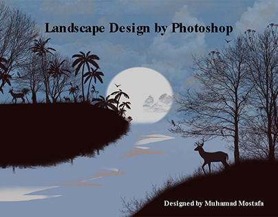 Landscape Design for Client