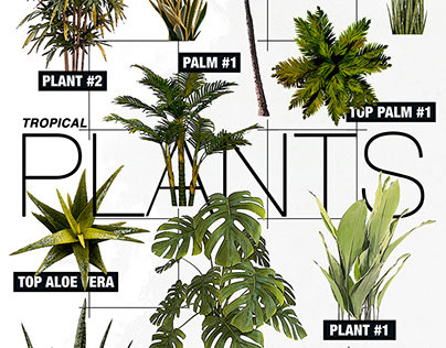 TROPICAL PLANTS RESOURCES #01