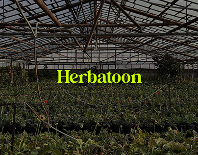 Herbatoon Rebranding