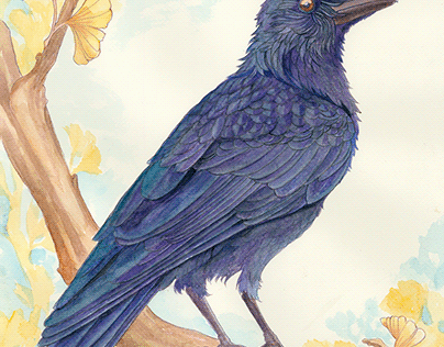 Perching Crow