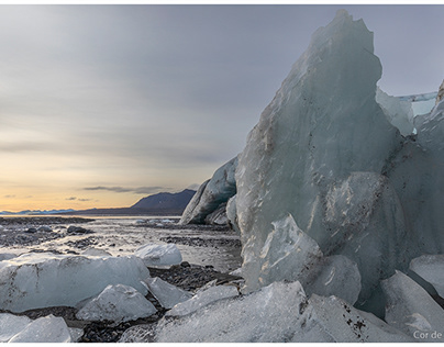 Spitsbergen #1