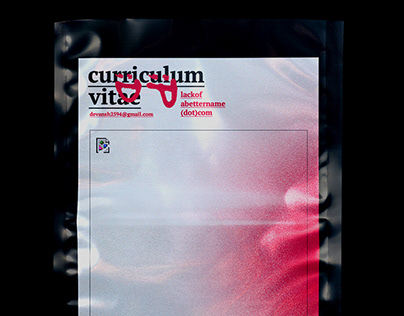 Curriculum Vitae 2019