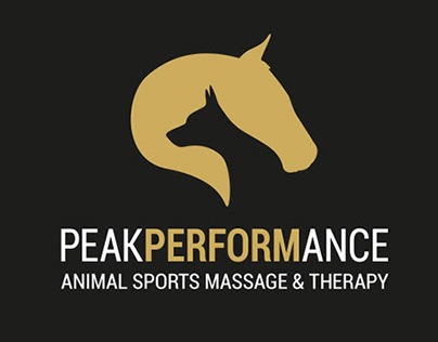 Peak Performance Logo Design