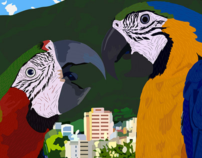 Macaws also fall in love.