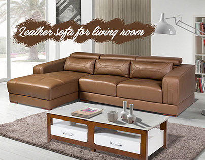 Leather sofa for living room