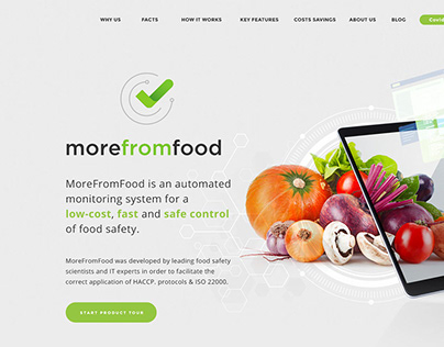 LOGO, WEB DESIGN | More From Food