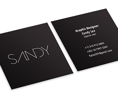 SANDY Professional Packages Project