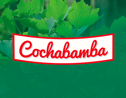 Branding Cochabamba