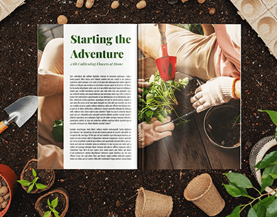 Fictional magazine about houseplants