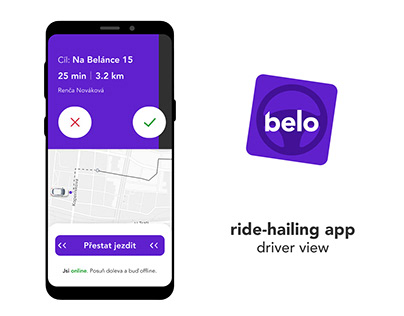 Ride-hailing App Design (driver view)