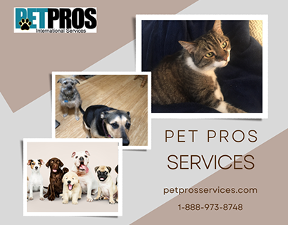 In Home Pet Sitting Services - Pet Pros Services
