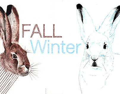 Fall - Winter