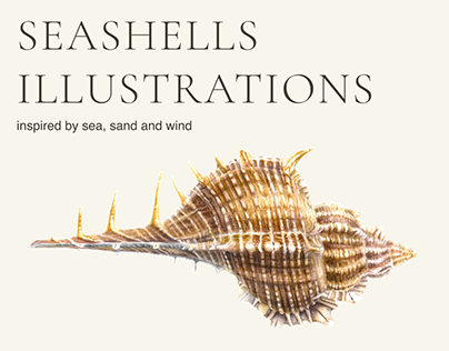 Watercolor Illustrations of Mediterranean Seashells