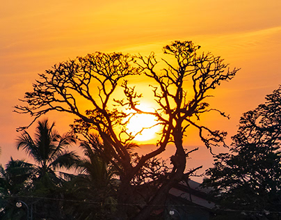 Sunsets of Ceylon