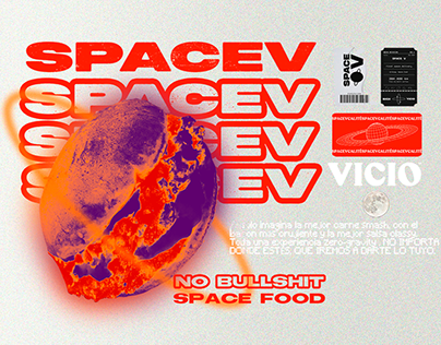 SpaceV: El primer delivery a 384.400km de la Tierra.
