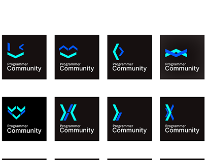 Programmer Community