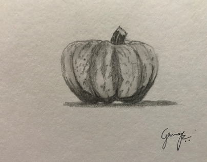 Pumpkin - pencil sketch