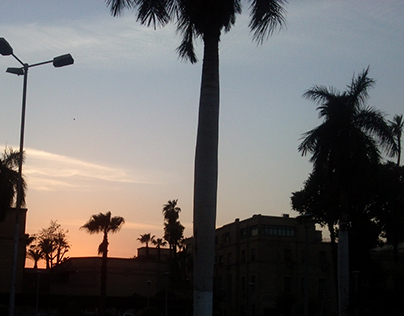 Cairo university sunset