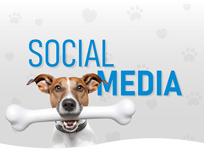 Social Media - Bandy Pet's