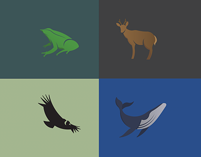 Ilustraciones para Wildlife Chile