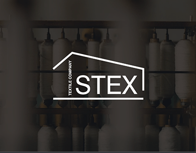 Logo Design for Stex