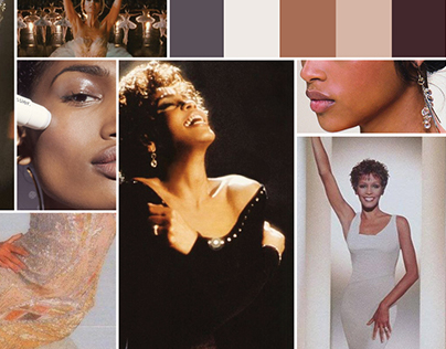 Whitney Houston | Experimental Design, WIP