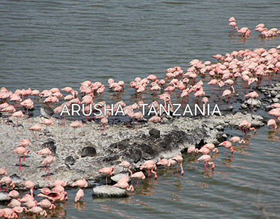 Arusha • Tanzania