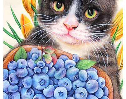 Cat and blueberry