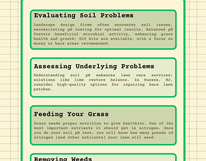 How to Maintain Lawns in Great Shape
