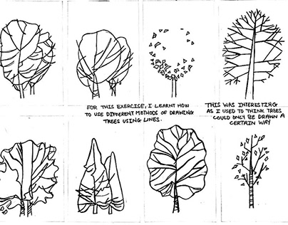 Plant Sketches
