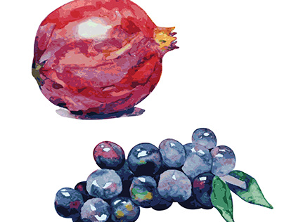 Hand drawn watercolor painting.Pomegranate.Grape.Fruit.