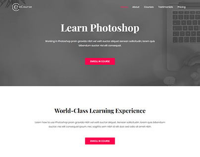 landing page website for ecourse (2)