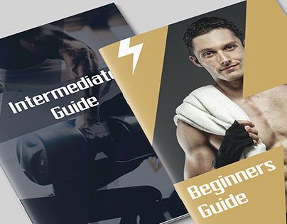 Platinum Gym Traininig Guide