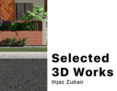 Selected 3D Works